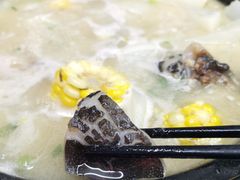 -7890+霸王甲·甲鱼爱尚蛙(坪洲店)