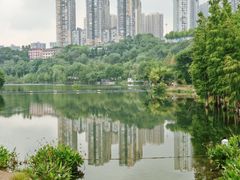 -重庆彩云湖湿地公园