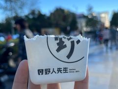 -野人先生现做冰淇淋(北京王府井东方新天地店)