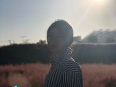 -茯茶镇