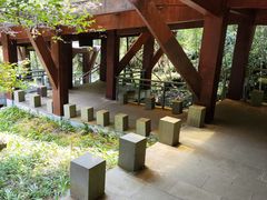-大鄣山卧龙谷景区
