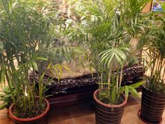 -庐州太太(双岗店)