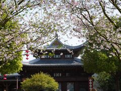 -不觉晓CAMPING(上海迪士尼营地店)