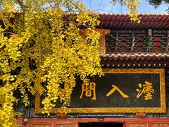 -宝通禅寺