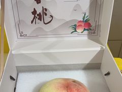 -老袁家蜜桃农场·阳山水蜜桃