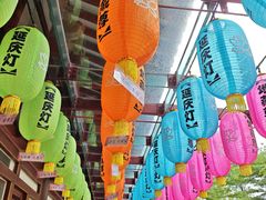 -新加坡佛牙寺龙华院