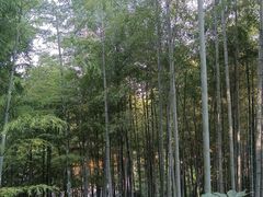 -灵隐飞来峰景区