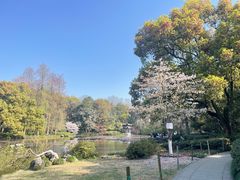 -杭州植物园