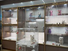 -翊宠yipet猫狗购宠庄园犬舍•猫舍