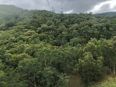 -热带雨林自然公园