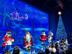 -波塞冬旅游度假区