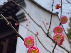 -上海方塔园