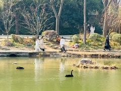 -麓舍全景太湖温泉别墅团建拓展会议亲子