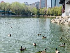 -团结湖公园