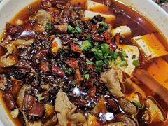 -铁山坪森林公园