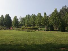 -瀛海足球主题公园