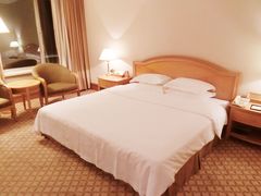 -南京维景国际大酒店(南京博物院店)