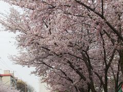-永乐路-路侧停车场