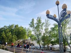 -宝安西湾红树林湿地公园