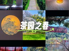 -中国茶叶博物馆(双峰馆区)