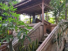 -北京植物园-展览温室