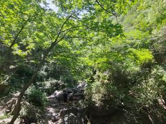 -云岫谷游猎自然风景区