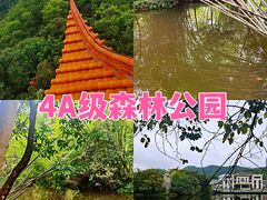 -大屏嶂森林公园