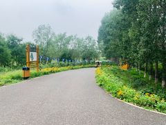 -东郊湿地公园