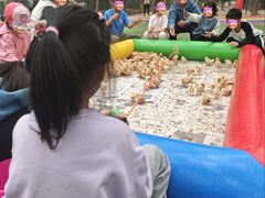 -草根堂农场