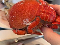 -海豚湾·大堂吧(厦门佰翔波特曼七星湾酒店)