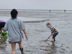 -南汇嘴观海公园