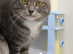 -达爱动物医院·犬猫分区·CT·复杂眼科(远洋山水分院)