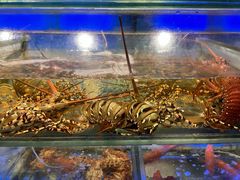 -好彩海鲜酒家(帝国中心店)