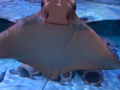 -沈阳海洋探索中心