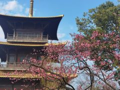 -广富林郊野公园