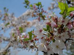 -幕燕滨江·长江观音景区