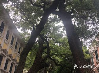 沙面建筑群，里面还有人居住的，看见挂着晾晒的衣服