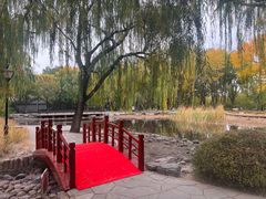 -玲珑塔公园