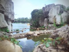 -海上田园