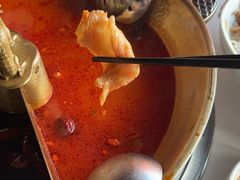 -小龙翻大江文化火锅(宽窄店)