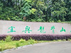 -宜兴龙背山森林公园