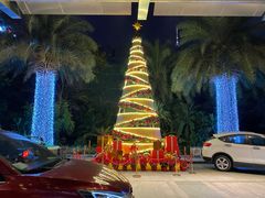 -广州富力丽思卡尔顿酒店