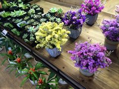 -L.C FLORA花予你(城西银泰城店)