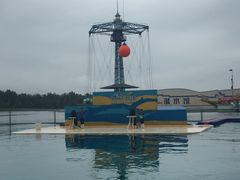 -秦皇岛乐岛海洋王国