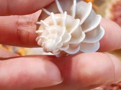 -摩登百货(岗顶店)