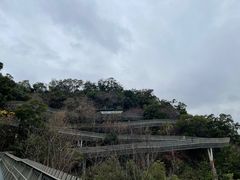 -福道