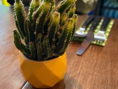 -Mesa Madre梅萨妈妈·Bintana(国贸店)