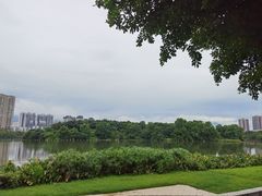 -飞来湖湿地公园