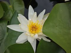 -代州文庙