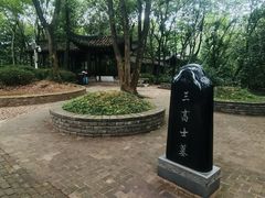 -上海佘山国家森林公园天马山园